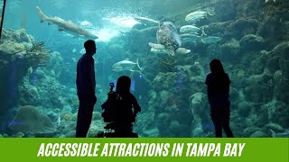 Our Favorite Accessible Attractions in Tampa Bay