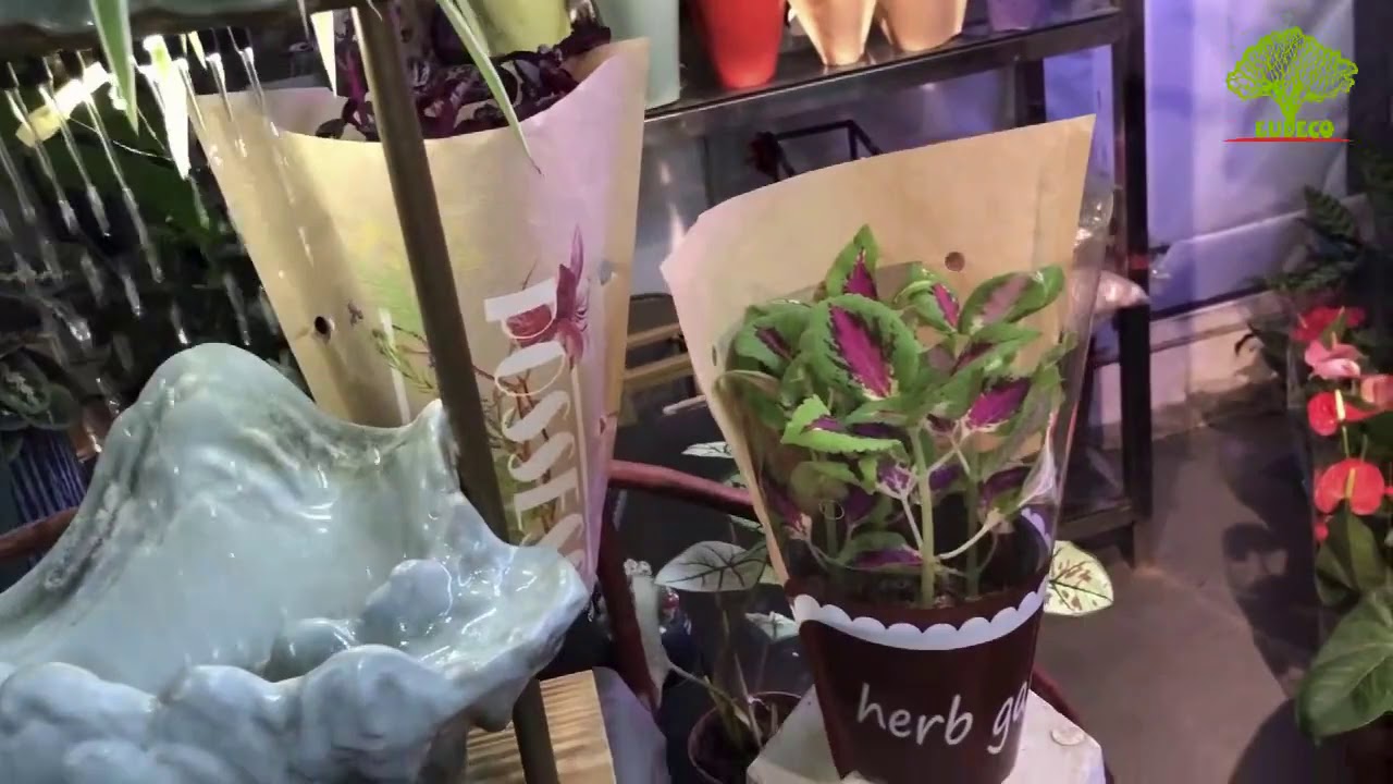 bopp/kraft +kraft paper plant sleeve