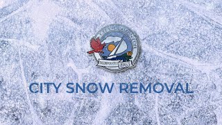 Mentor's Snow and Ice Removal Process