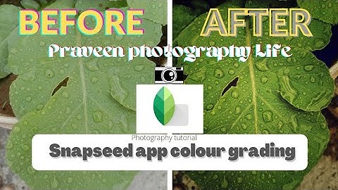 leaf🌿water💧💦drop|snapseed app photo editing| #tutorial #photoediting #snapseedphotoediting #snapseed