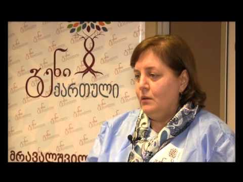 30 10 15 ინფორმატორი -იმერვიზია