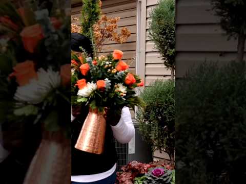 Video: Suihkuta ruusuja. Little Garden Queens