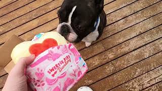 New BarkBox