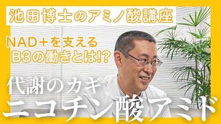 代謝のカギ！？ニコチン酸アミド！
