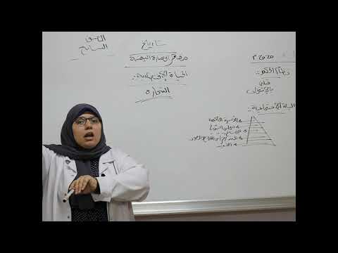 مادة التاريخ للصف السابع الأساسي مظاهر الحضارة اليمنية