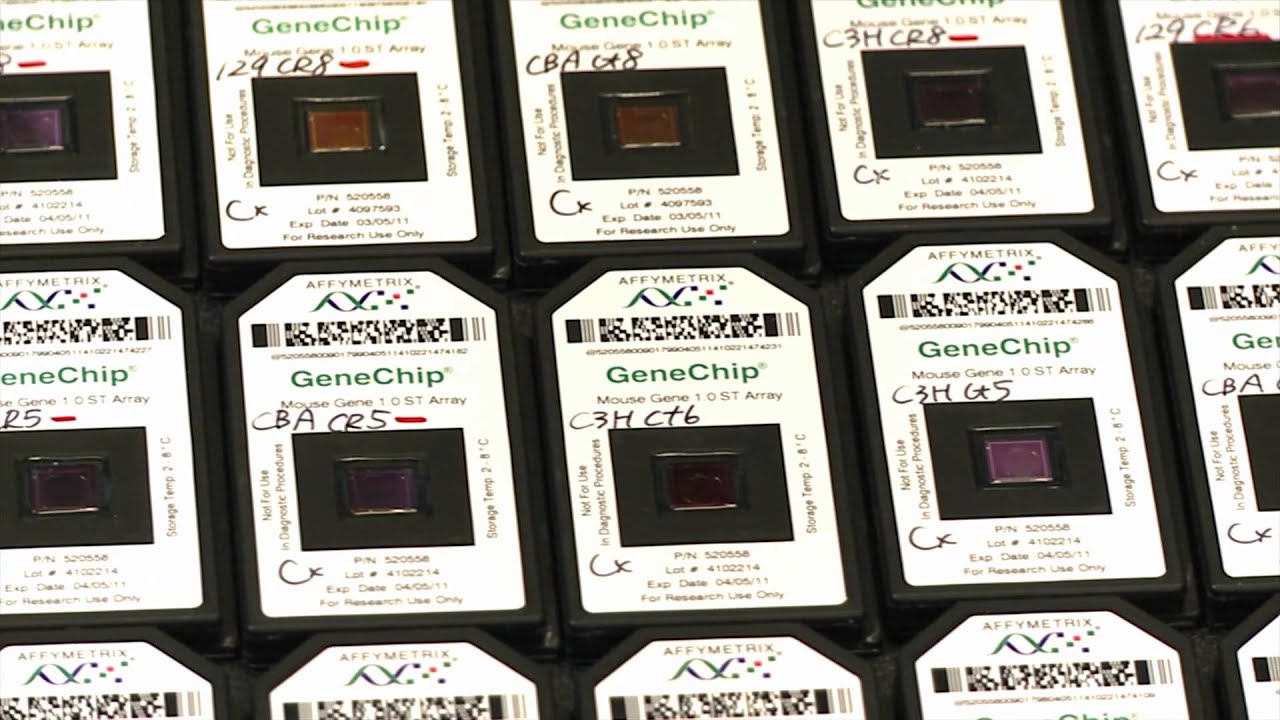 ageLOC VITALITY NuSkin - БОДРОСТЬ, АКТИВНОСТЬ