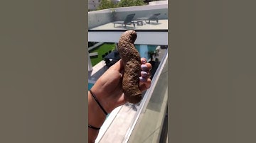 POO IN THE POOL PRANK ON MY BOYFRIEND… #shorts