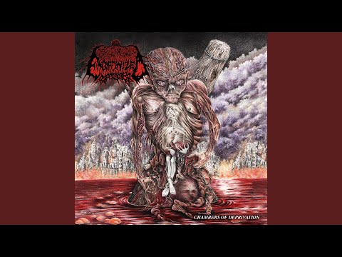 Encoffinized — Rotting Away