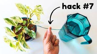 Absolute Top 20 Plant Hacks That