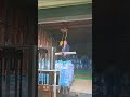 The process of hoisting water buckets with a truck- Good tools and machinery make work easy