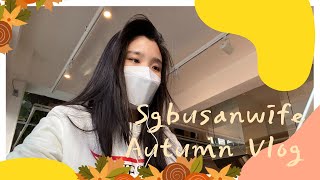 [VLOG 11] Singaporean 🇸🇬 in Korea / Korea Vlog, Autumn, Busan, Cafe Hopping, Pusan National Uni