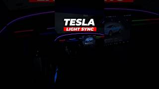 Who said that having two light strips in your Tesla is too much?