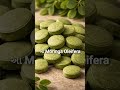 Vegaa Life | ગુજરાત ની No.1 Natural Brand | Try Karo Aaj  #ayurvedic #natural #organic #farming