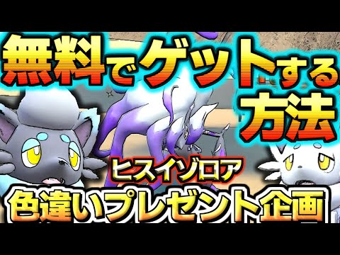 【 ポケモンSV】無料でヒスイゾロアをゲットする方法 楽に色違い厳選するやり方 イロチ DLC 追加コンテンツ 配布 スカーレットバイオレット スカバイ