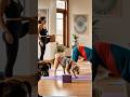 Dog Dogyoga Cartoon Funny Funnyvideo Dog Dogyoga Cartoon Funny Funnyvideo
