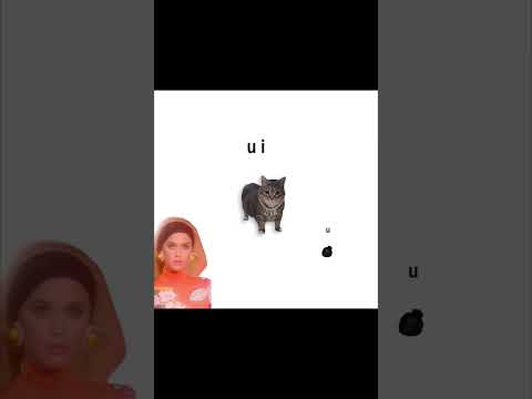 Harleys in Hawaii cat song #harleysinhawaii #cat #shorts #fyp #viral #spinningcat