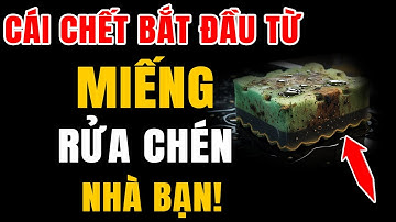 🚨 7 Sai Lầm Rửa Chén Bát "Rước" Độc Tố & Ung Thư Vào Người! 🧼💀 Sai Lầm Thứ 2 Sẽ Khiến Bạn Bất Ngờ
