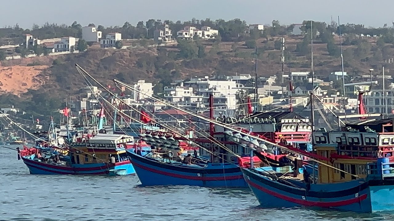 PHẦN 191.Dàng Ghe Pha Súc Và Lưới Rút Chạy Vào Mũi Né Bán Cá 