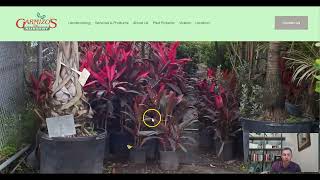 Garmizo's Inc Nursery
