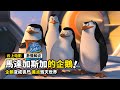 企鹅因为太可爱 居然被變成喪屍 差點毀滅世界 動畫電影 馬達加斯加的企鵝 