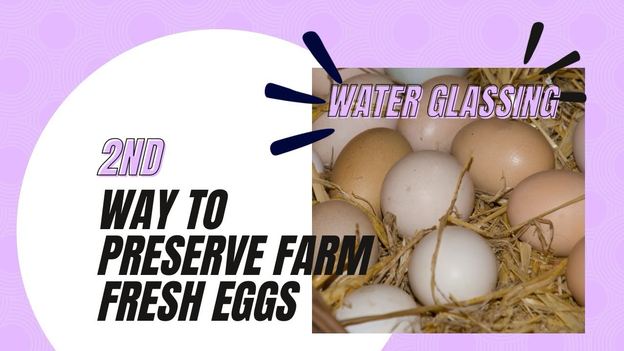 Water glass eggs to preserve them YouTube