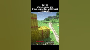 Dyy 77 of 1Day1Thing: Village Food #minecraft