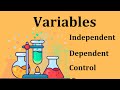 Identify Variables in a Scientific Investigation