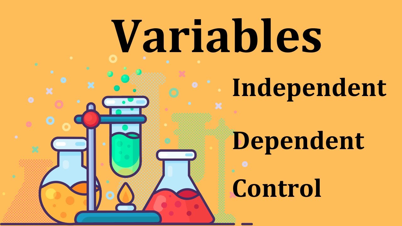 Identify Variables in a Scientific Investigation