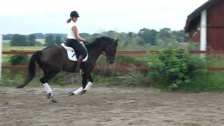 MVI_2637.AVI