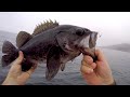 Catching BIG Rockfish & Perch in the Puget Sound!