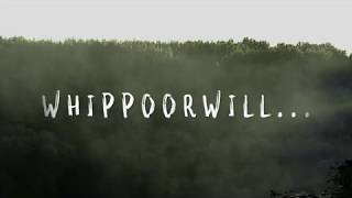 Whippoorwill - Anna Larson | Lyric Video