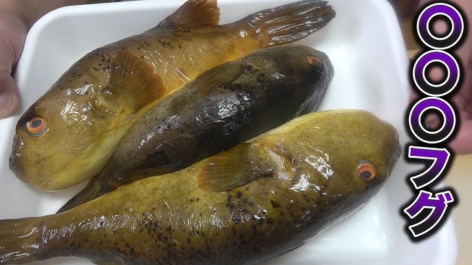 こんなブリ食べたことない 会長がくれたブリが美味しすぎて幸せでした ヒゲの兄貴も 笑 Youtube