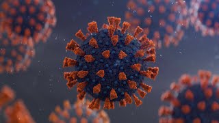 Coronavirus rapid test: FDA approves Abbott rapid COVID-19 antigen test