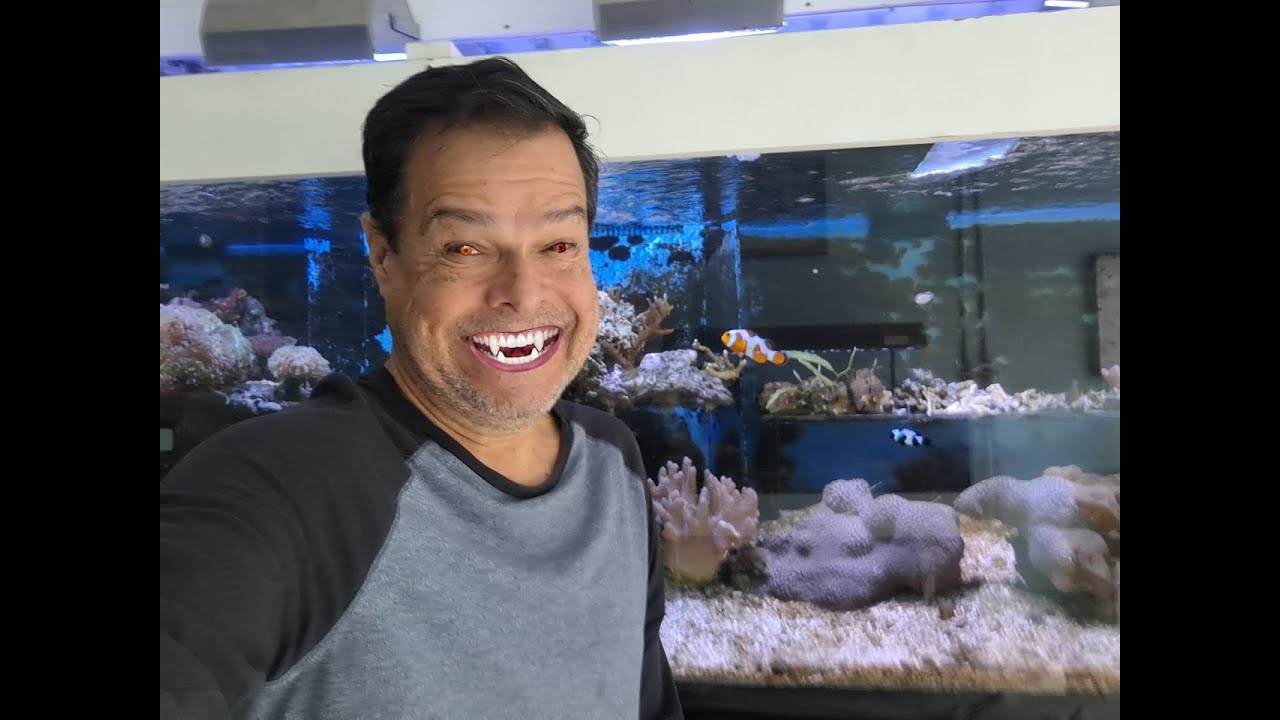 Aquaristas Vampiros - Aquashow - 363