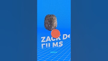 How Many Turtle Shells Could Stop A Bullet?