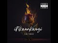 iNkwenkwezi King Temoso (Offcial Audio)