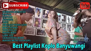 Playlist Koplo Banyuwangi ~ Dini Kurnia,Denik Armila,Syahiba Saufa,Anggun Pramudita || Koplo Viral