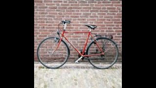 2024 | LES 16. Te koop: een fiets | NAAR NEDERLAND by Peter Van Oranje 814 views 4 years ago 6 minutes, 20 seconds