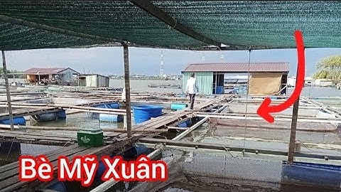 Cần Thủ Nữ Câu Toàn cá Nâu To || Câu Bè Mỹ Xuân Tân Thành @Dammecauca1