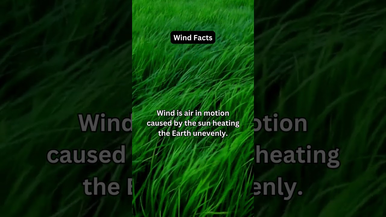 Wind:Air in Motion Powered by the Sun! 🌬️☀️ 