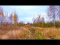 Сalming atmosphere of nature | Autumn fields in deep autumn. A journey into awareness, ambient music