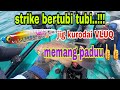 STRIKE BERTUBI TUBI..!!!JIG KURODAI VLUQ MEMANG PADU👍👍--KAYAK FISHING MALAYSIA --VLOG#9