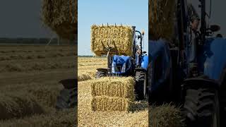 Real USA Farming! Perfect Hay Collection in Iowa 🇺🇸🔥