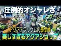 圧倒的オシャレ空間‼美しすぎるアクアショップ‼ 『ヒロセペット谷津本店』aquarium アクアリウム 熱帯魚 水槽 水草 流木 メダカ