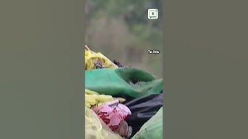 Từ ngày 25/8, không phân loại rác sinh hoạt bị phạt đến 1 triệu đồng | TTBCTPHCM