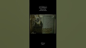 تلاوة خاشعة للشيخ #ماهر_المعيقلي من سورة الأنبياء