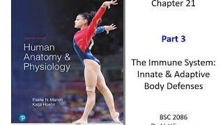 (FAU BSC 2086) Chapter 21 The Immune System Part 3