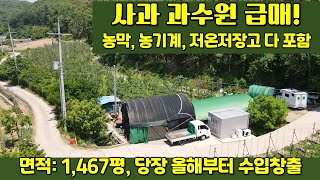 사과과수원 급매, 귀농 귀촌하실분