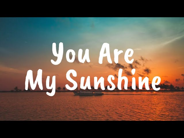 CapCut_you are my sunshine lyrics terjemahan