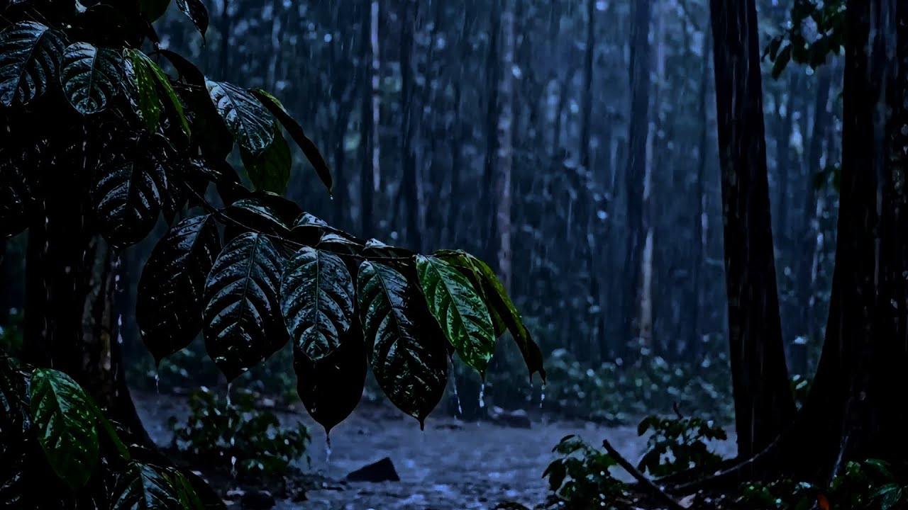 🌧 Mystical Forest Rain — Deep Sleeping Rain Sounds for Calm Mind & Restful Night 🌙